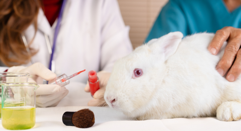 動物実験を行う人