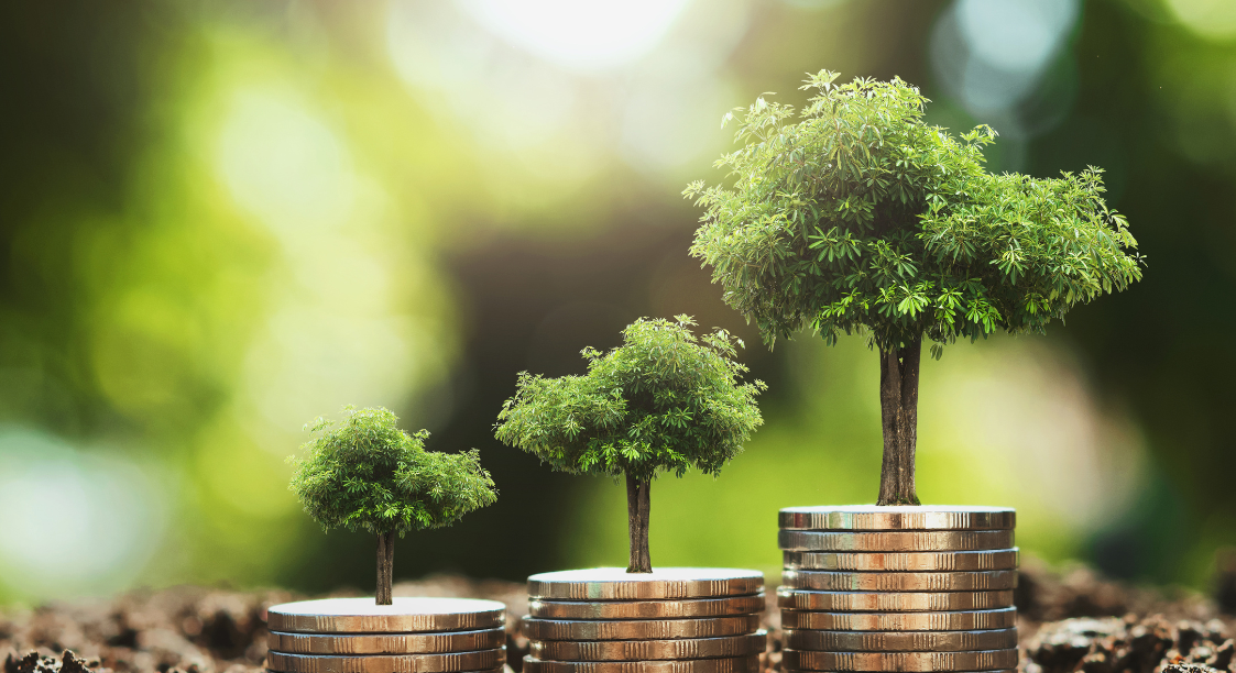 野菜を入れる袋